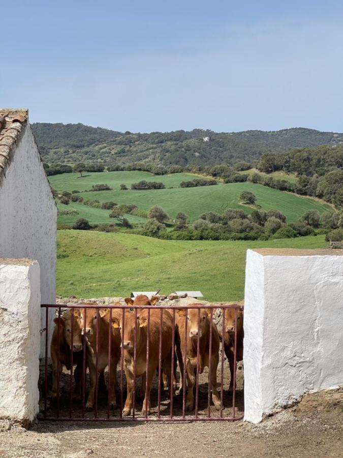 Casa Rural Bini Aumaia אס מרקדל מראה חיצוני תמונה